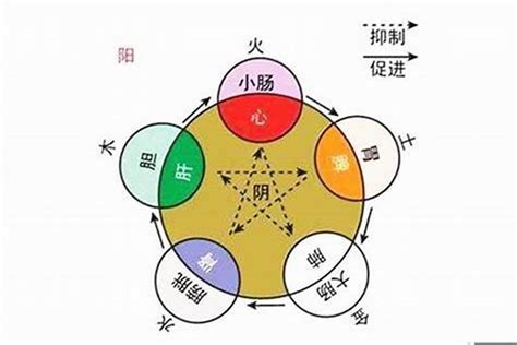 庚午 五行|庚午年五行属什么：深入解析庚午年的五行属性